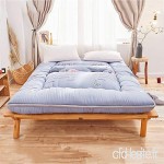 Coussin de lit d'enfants de lit Simple de dortoir d'étudiant de Matelas de Tatami épaissi ventilé -722 Color : C  Size : 180 * 200cm - B07VK1BXGN